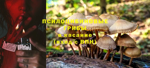 PSILOCYBIN Зеленокумск